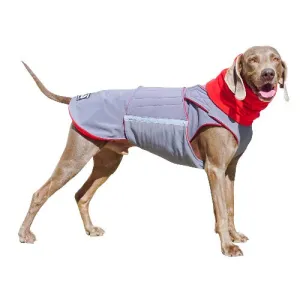 WEIMARANER SOFTSHELL DOG COAT   NECK WARMER / MADE TO ORDER